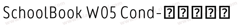 SchoolBook W05 Cond字体转换
